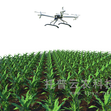 田間無人機式高通量植物表型采集分析平臺